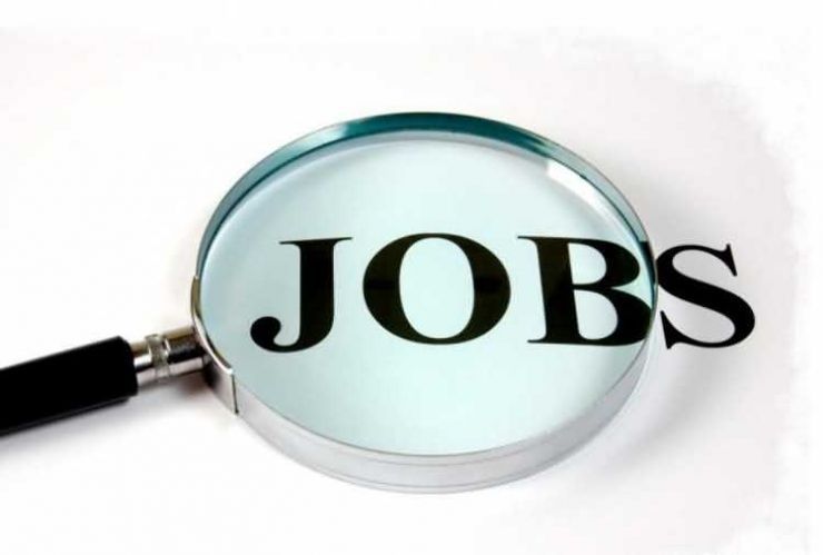 Aproape 300 de locuri de muncă vacante în județul Satu Mare